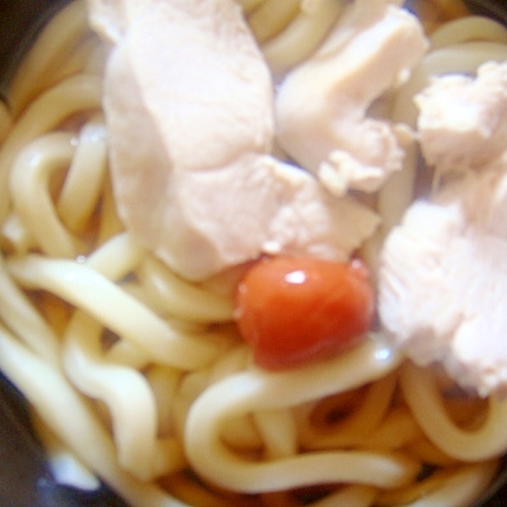 冷たい♪かしわうどん梅干し乗せ